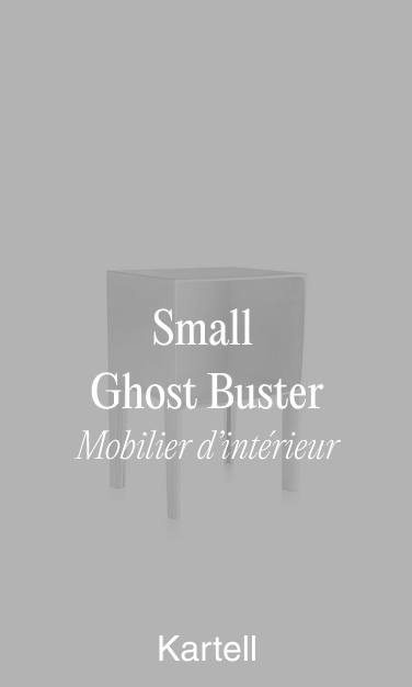 Small Ghost Buster
